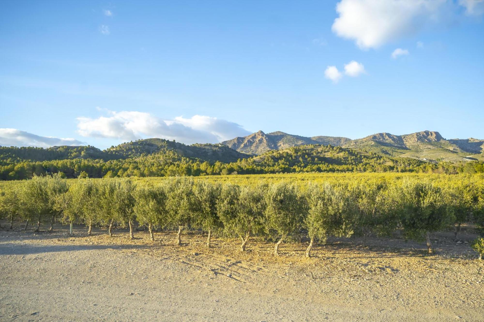Finca El Espilo Lucar Zewnętrze zdjęcie